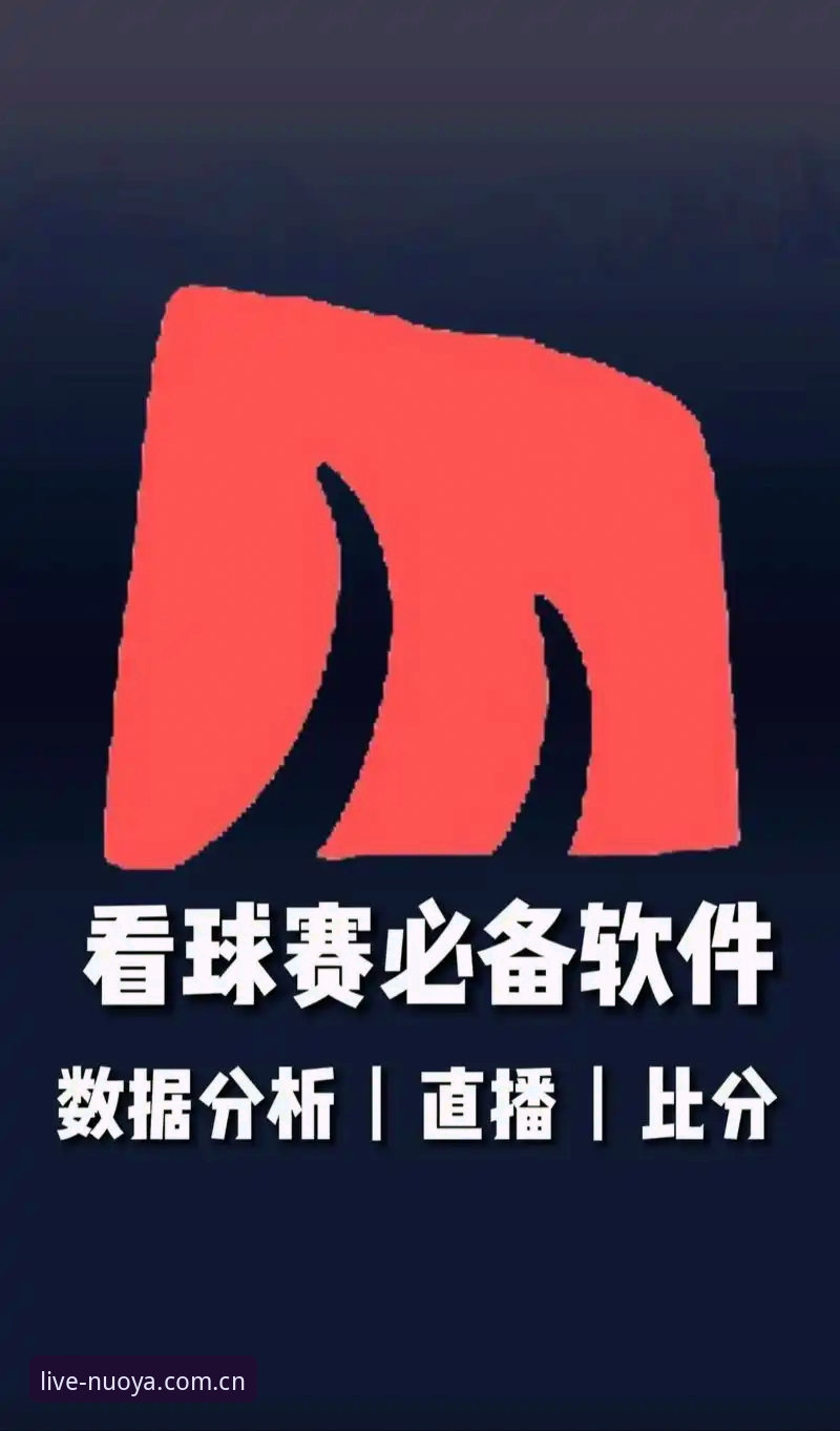 诺亚体育iOS版下载手机版：4个坑别再踩，2024观赛就该这么玩